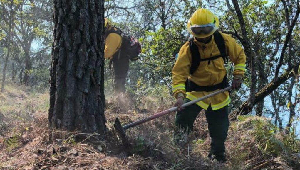 Atienden siete incendios forestales activos en Guerrero