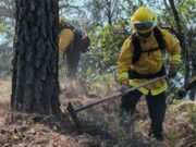 Atienden siete incendios forestales activos en Guerrero