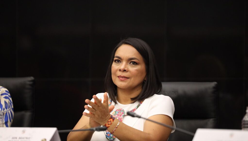 Unidad y fortalecimiento territorial, ejes de la VII Sesión del Consejo Nacional de Morena: Mojica Morga